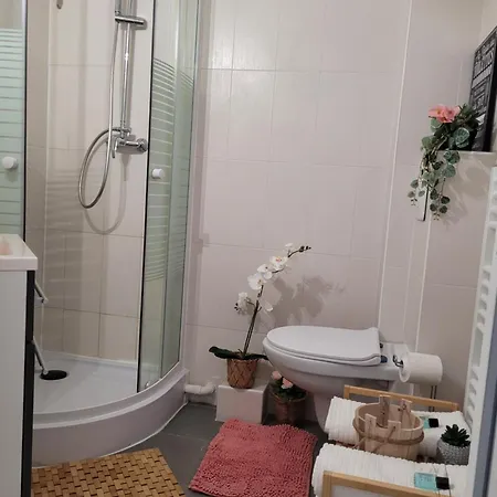 Cocooning House B222 Zen & Peaceful Aeroport Paris Roissy Cdg - Parc Asterix- Stade De France *